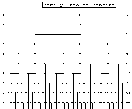 fib tree