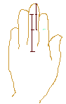 hand