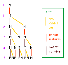 rabbit family tree